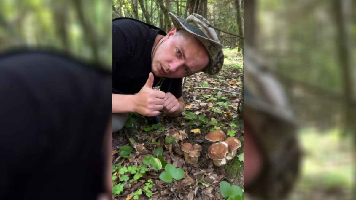 Белорус показал поляну с "растущими кустами" боровиками. Зрители засыпали вопросами