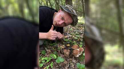 Белорус показал поляну с «растущими кустами» боровиками. Зрители засыпали вопросами