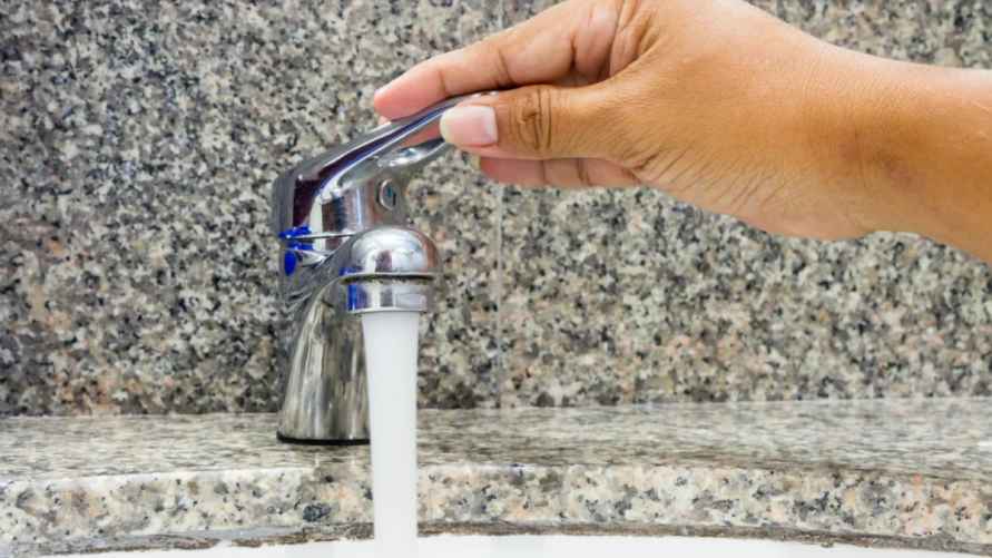 Энтомологи назвали причину, по которой белорусам лучше затыкать сливы в раковинах перед отъездом