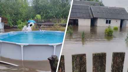 «Так это из-за вас всё?» — В TikTok нашли «виновника потопа» в Слуцке