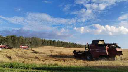 Жена показала расчетник мужа-комбайнера за июль, но белорусы задали вопросы: «Много или мало?»