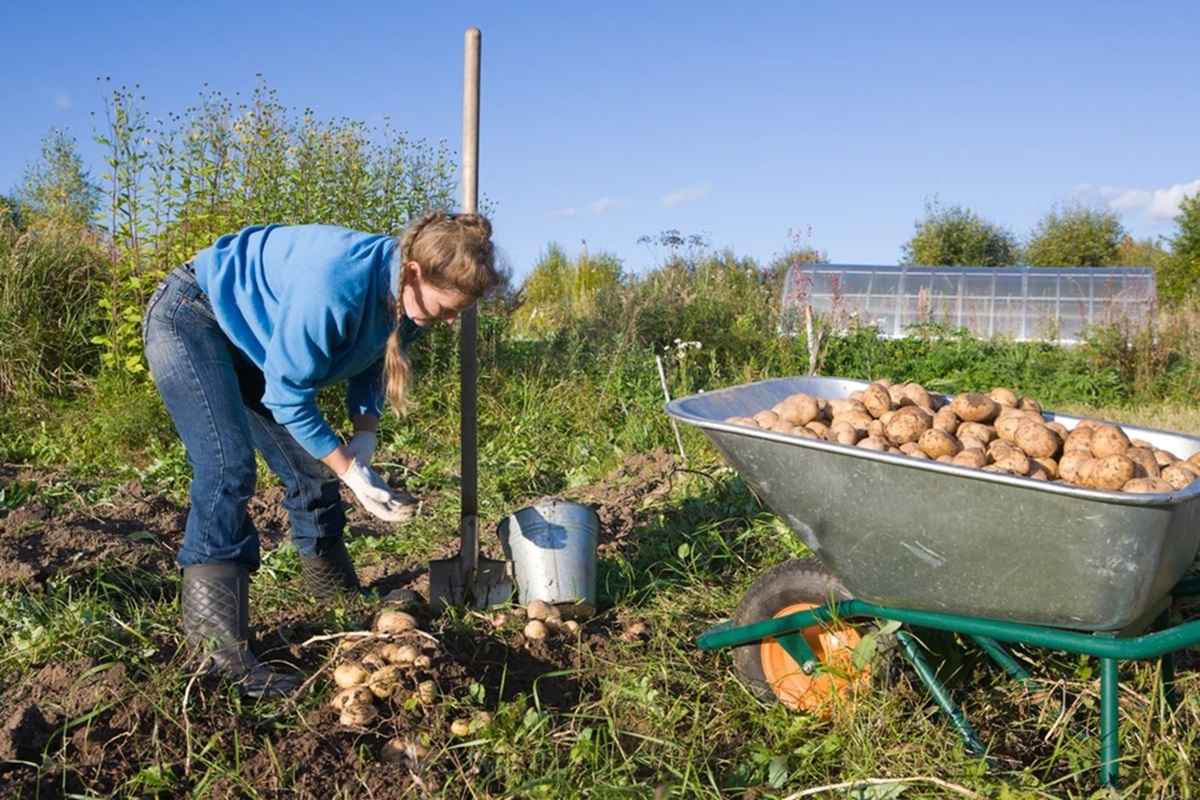 Фото иллюстрационное