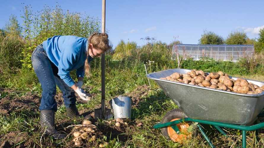 Фото иллюстрационное