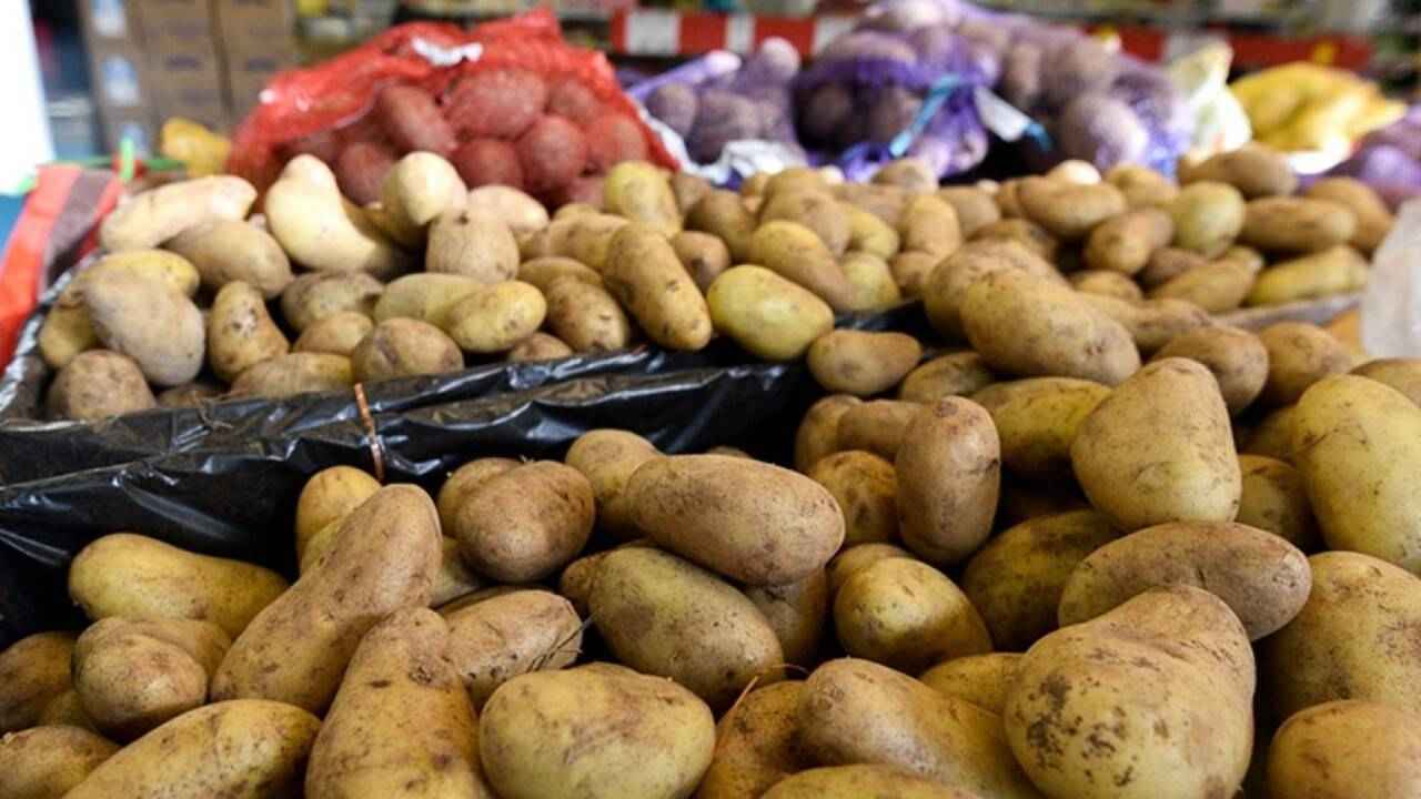 Фото иллюстрационное