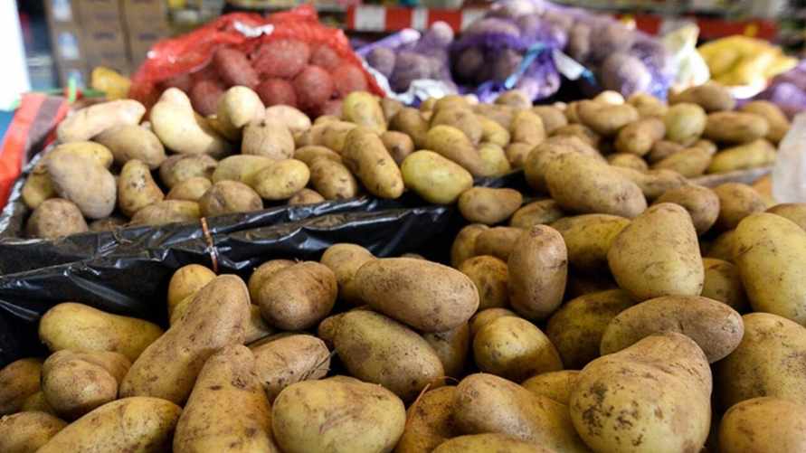 Фото иллюстрационное