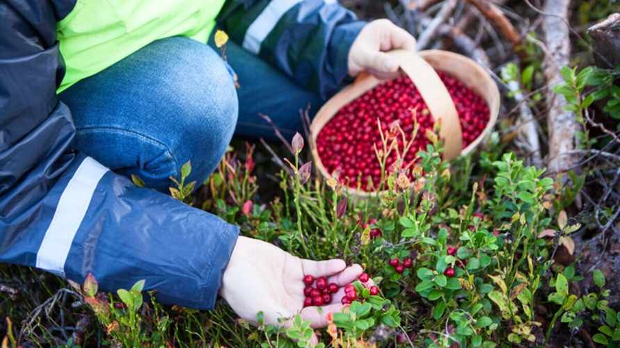 Фото иллюстрационное