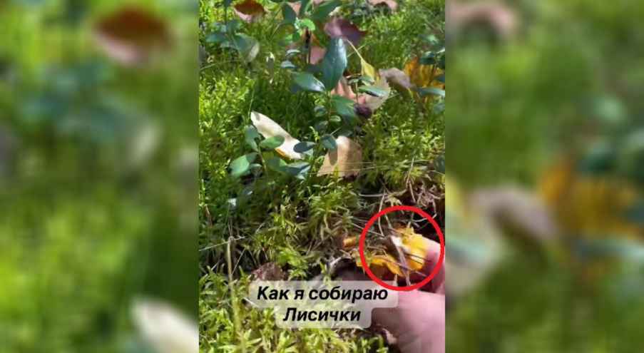 В коротком 13-секундном ролике видно, как девушка едет