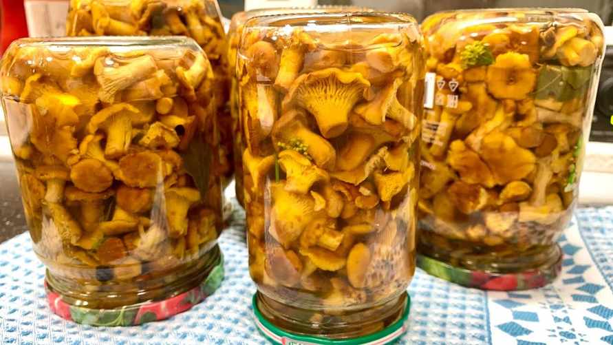 Фото иллюстрационное