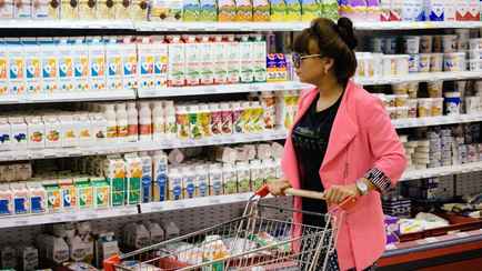 Российские производители потребовали от торговых сетей закупать меньше белорусской молочки — «Не можем конкурировать»