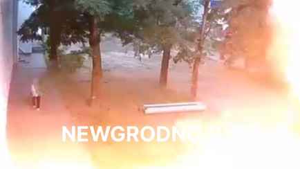 В Гродно молния ударила в дерево рядом с пешеходом