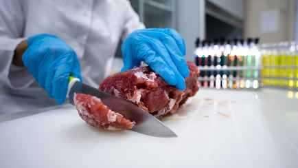 Россельхознадзор заявил, что обнаружил сальмонеллу и листерию в говядине двух белорусских компаний