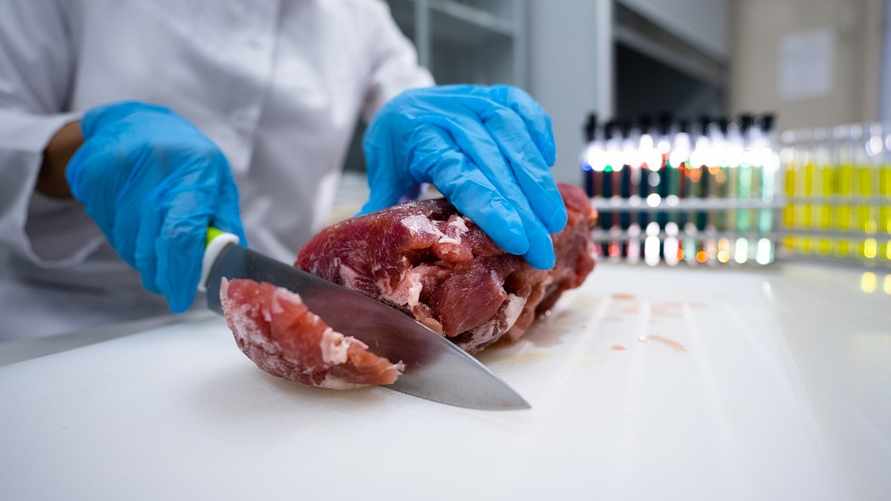 Фото иллюстрационное