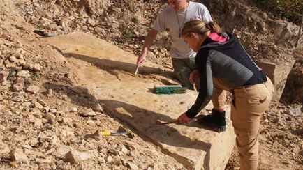 В Польше нашли следы животных возрастом 400 млн лет