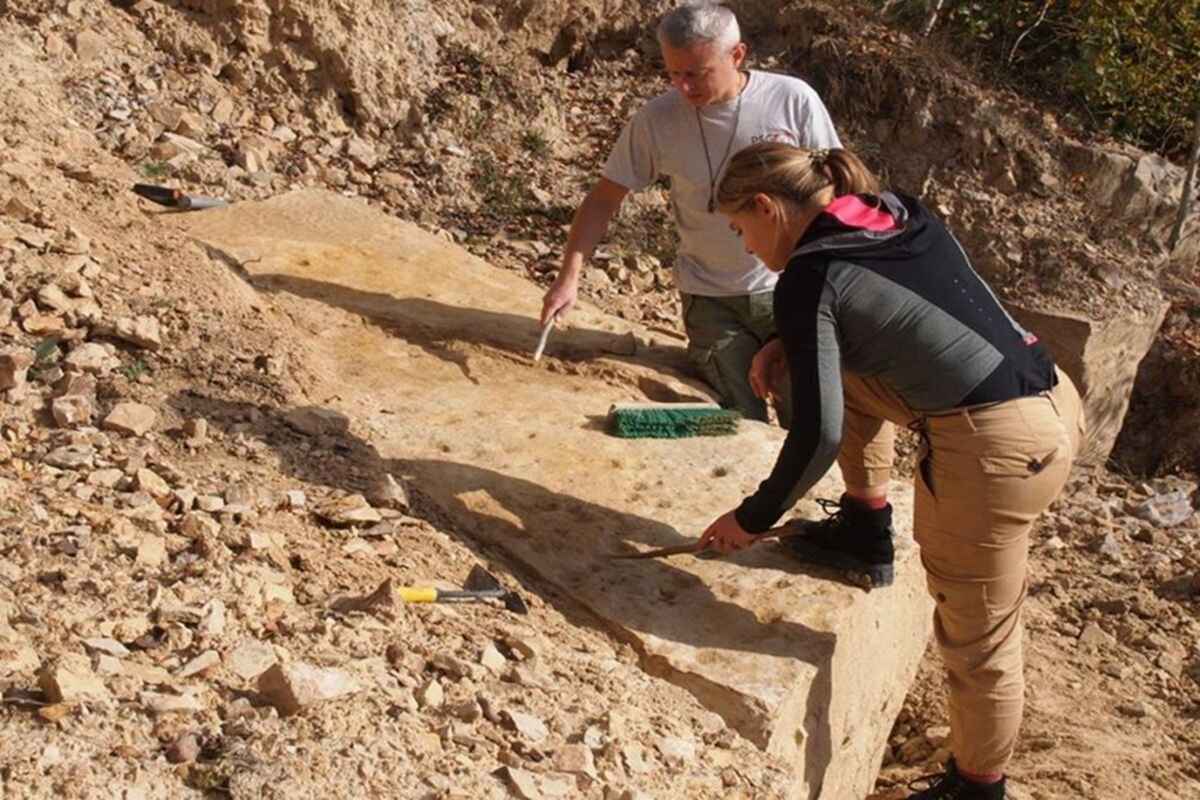 В Польше нашли следы животных возрастом 400 млн лет