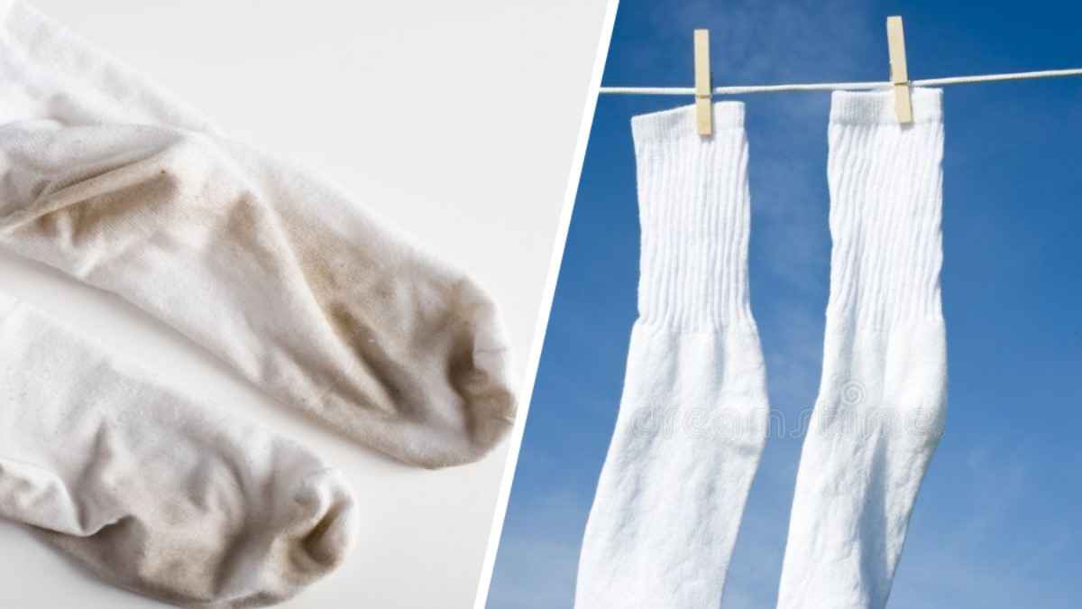 Как белорусам вернуть носкам белый цвет всего за 1 рубль? Клинер посоветовал натуральный "отбеливатель"