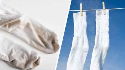 Как белорусам вернуть носкам белый цвет всего за 1 рубль? Клинер посоветовал натуральный «отбеливатель»