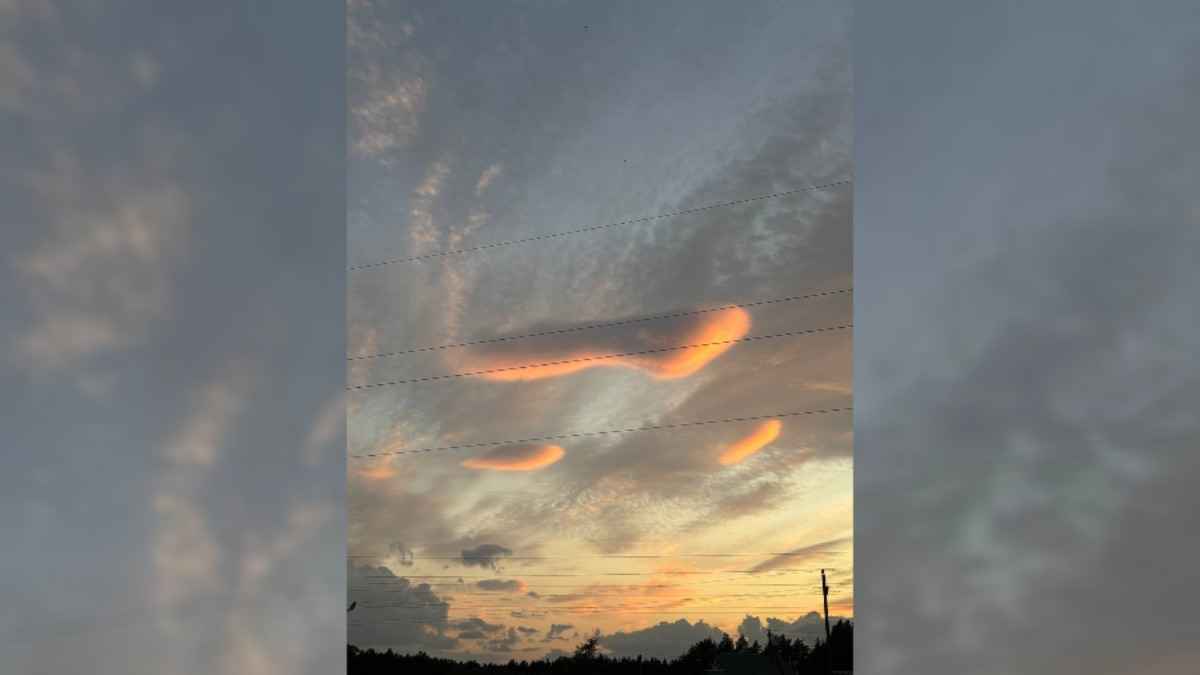 Белорусы заметили редкие чечевицеобразные облака в Минской области