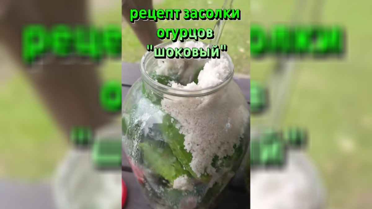 Рецепт "шоковой" засолки огурцов набрал более полумиллиона просмотров в TikTok
