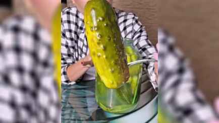 Белоруска показала «проверенный десятилетиями» рецепт малосольных огурцов: «Как семечки съедаются»