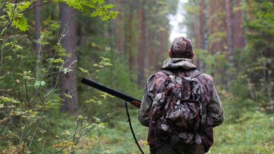 Фото иллюстрационное