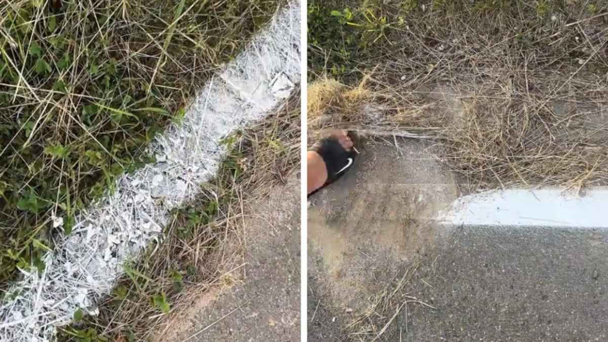 «Сбился прицел» - В TikTok показали, как под Минском разметку нанесли по траве