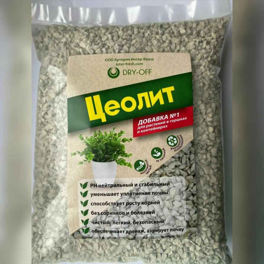 Как белорусам собрать больше помидоров? Сделайте одну процедуру до конца августа