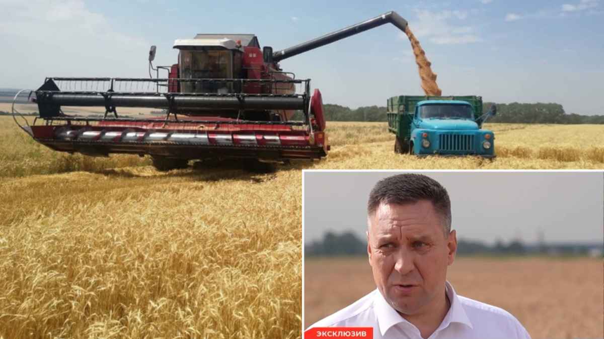 Глава Минсельхозпрода предрёк "большие потери" на полях, но пообещал белорусам урожай выше прошлогоднего