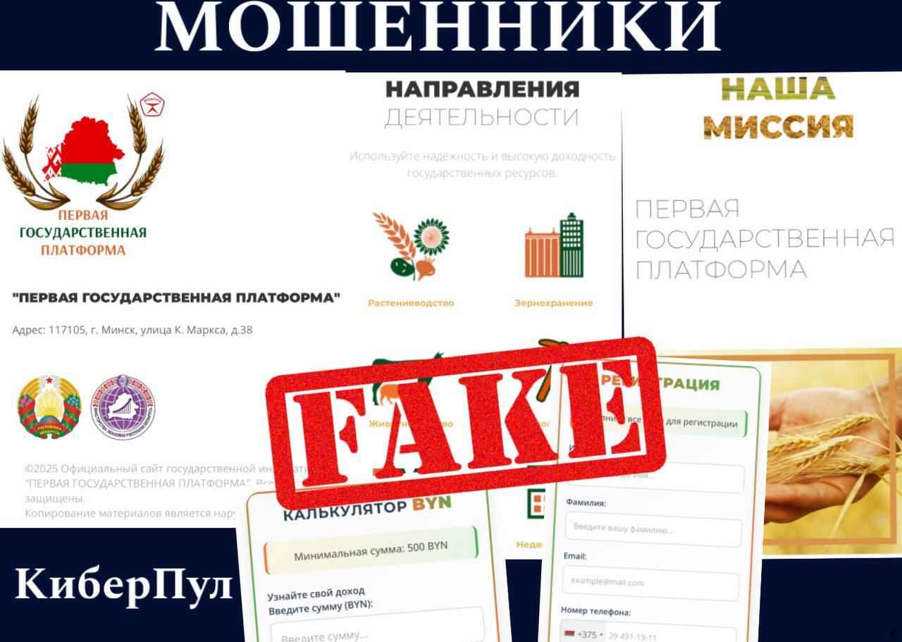 Белорусам предложили "инвестировать" через "Первую государственную платформу". Что с ней не так?