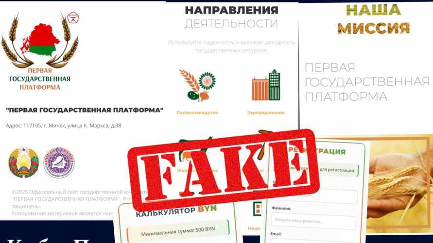Белорусам предложили "инвестировать" через "Первую государственную платформу". Что с ней не так?