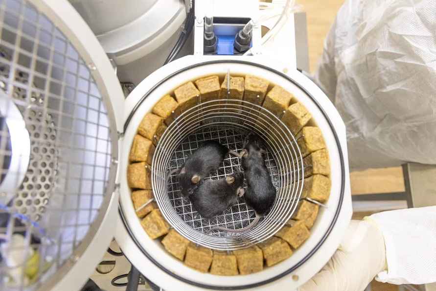 «Союз» зрелищно запустил в космос семена белорусских помидоров