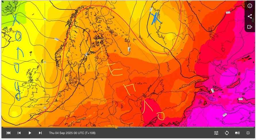 Фото: t.me/nadvorie