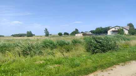 Белоруска пожаловалась на нескошенную в городе траву в прокуратуру. Что ответили?