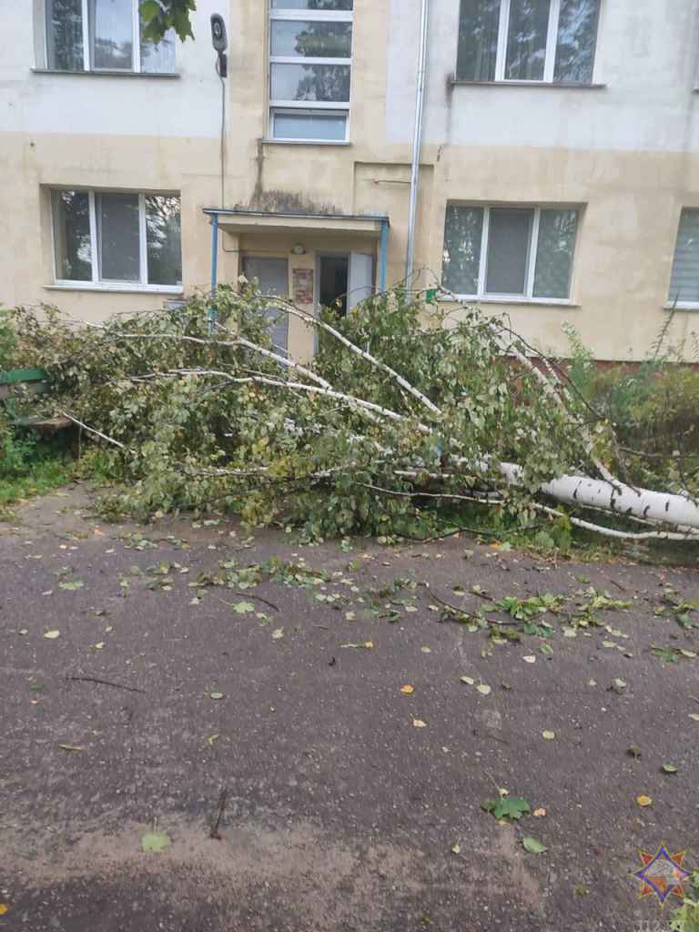 Шквал снес кровли 16 домов на Могилевщине и Брестчине