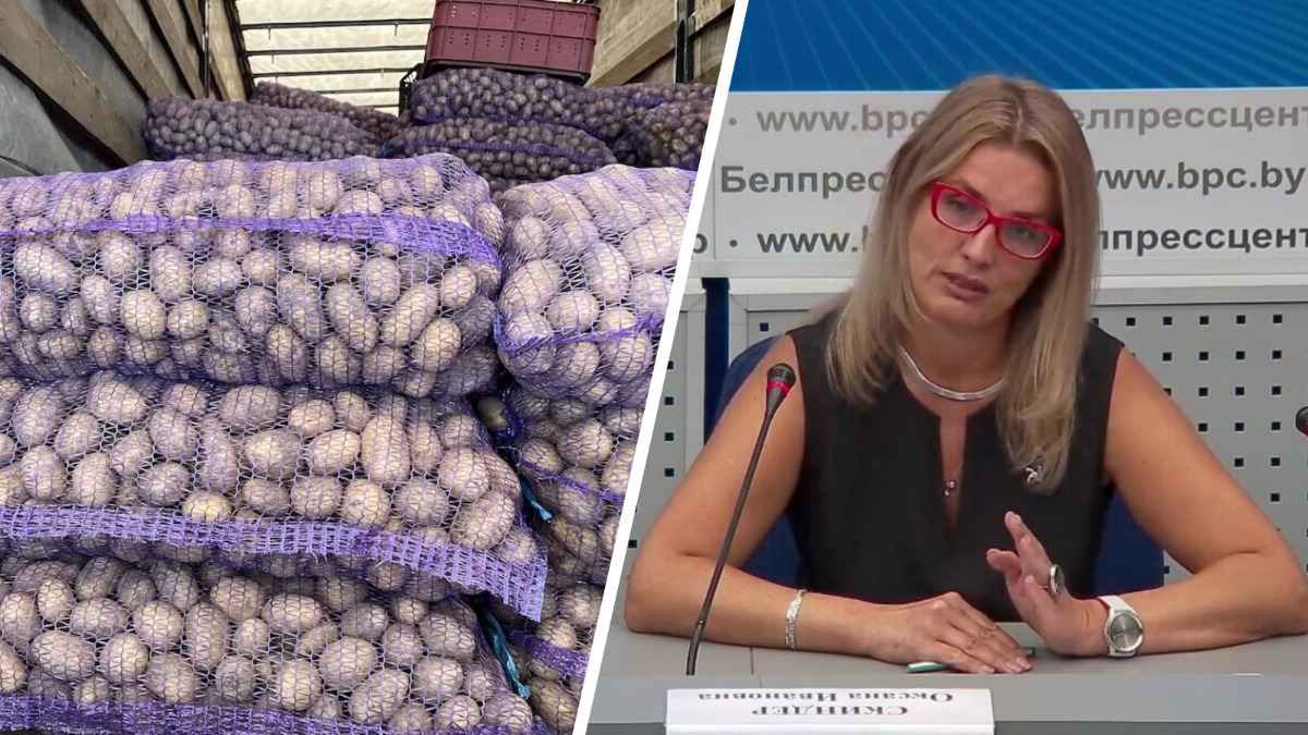 Сколько стоит сдать урожай? Белкоопсоюз озвучил свежие закупочные цены