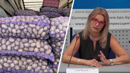 Сколько стоит сдать урожай? Белкоопсоюз озвучил свежие закупочные цены