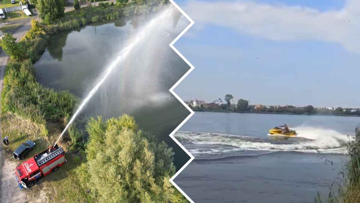 Фото: t.me/brestgik