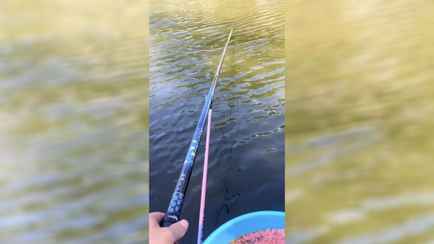 Рыба, которая «морально унижает» рыбака, набрала 3,5 млн просмотров в TikTok — «Ну что, как улов?