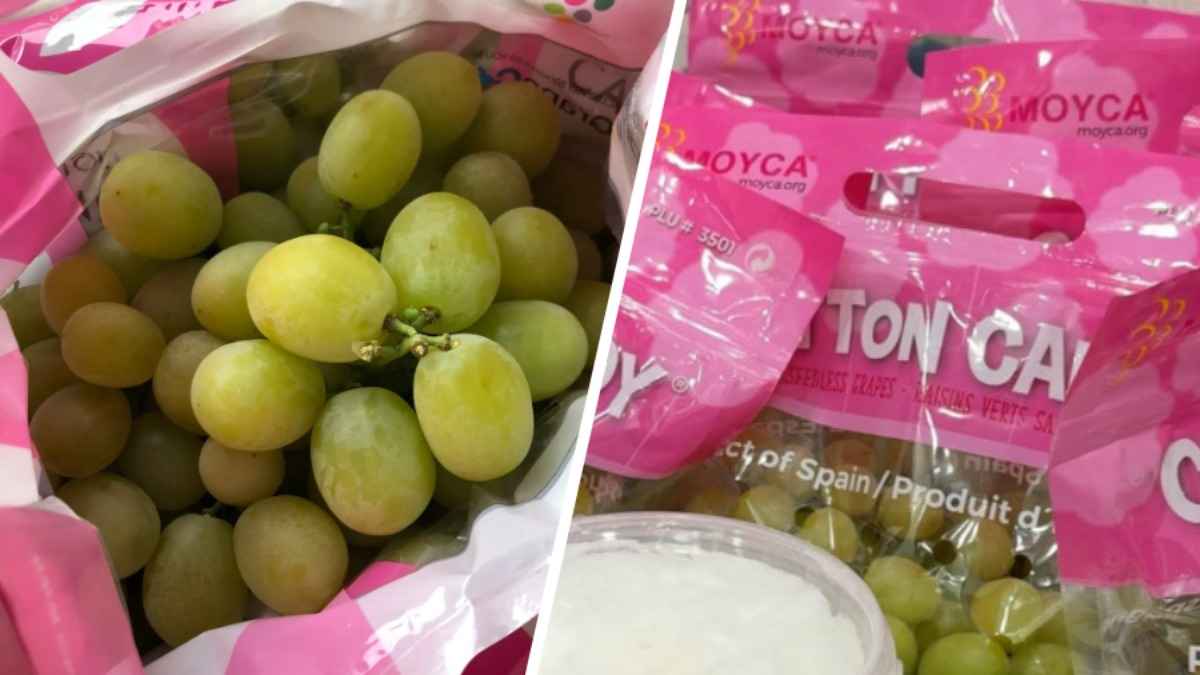 В Беларуси начали продавать виноград "со вкусом сахарной ваты". Что за он и сколько стоит?