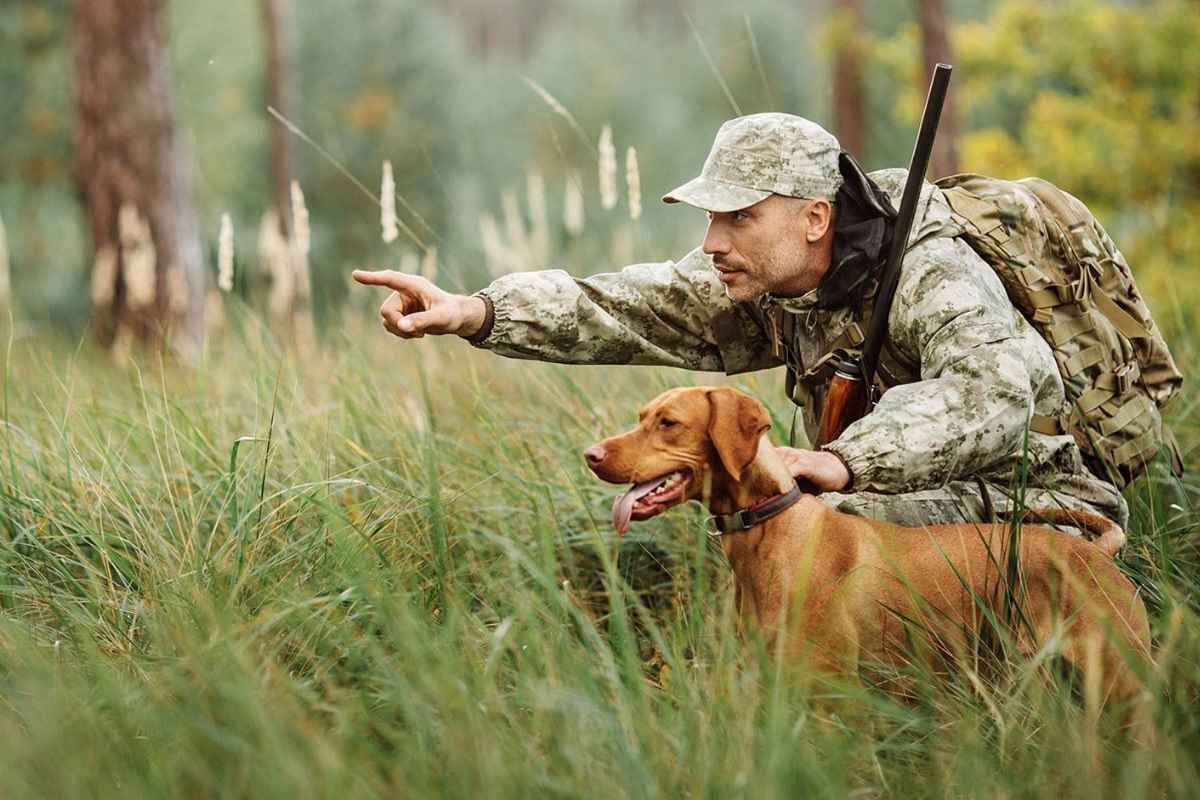 Фото иллюстрационное