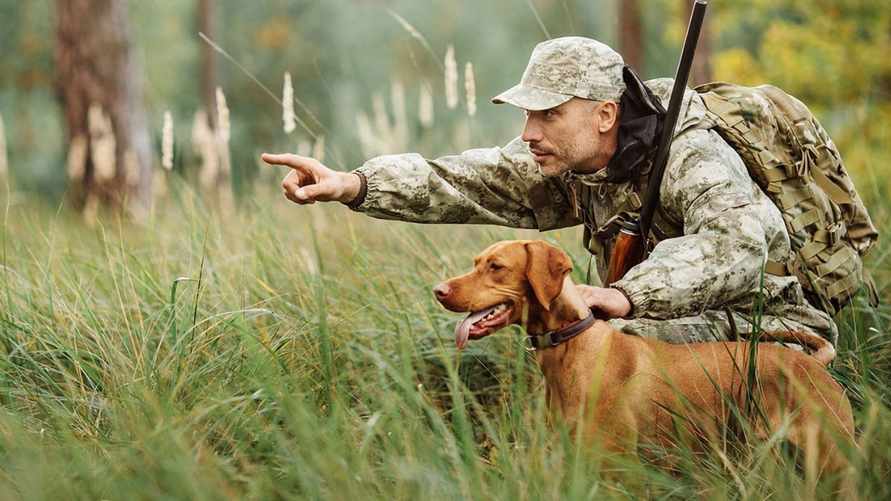 Фото иллюстрационное