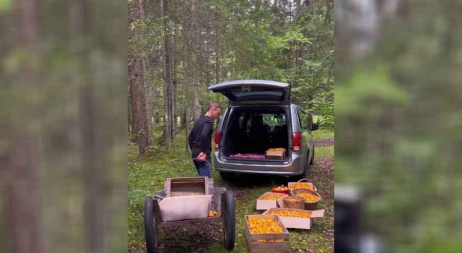 Автор ролика продемонстрировал, как загружает в лесу очередную