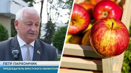 Глава Брестчины рассказал, как планируют компенсировать урожай яблок в 3 раза меньше прошлогоднего