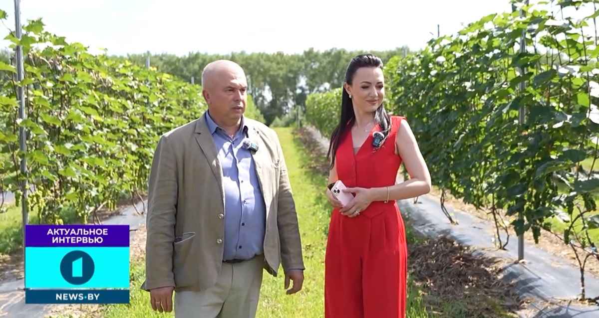 Скриншот видео "Первого информационного"