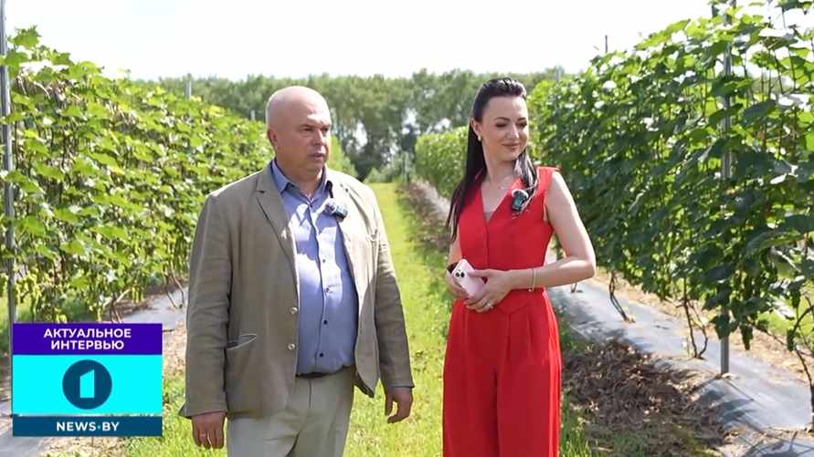 Скриншот видео "Первого информационного"