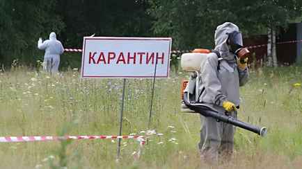 В Пинском районе ввели карантин