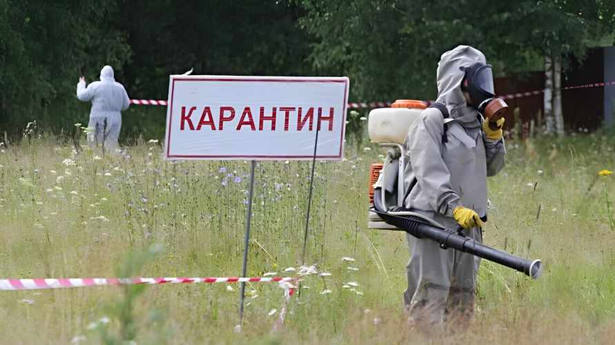 Фото иллюстрационное