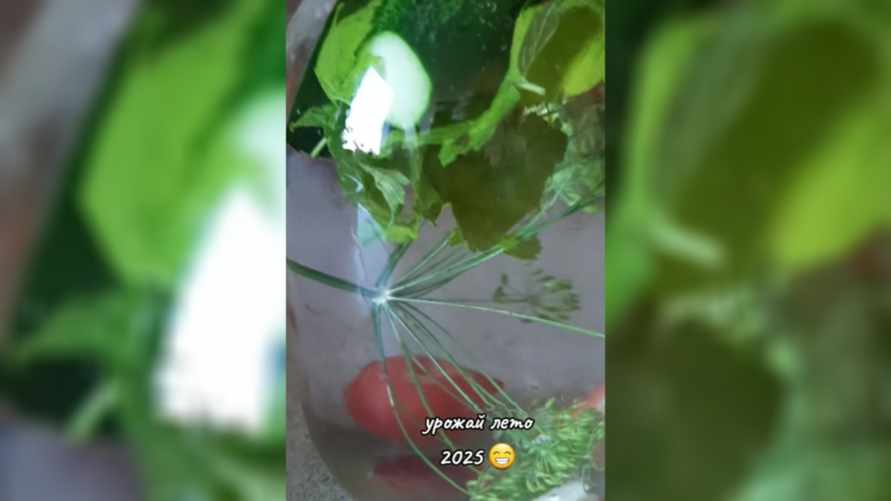 Урожай 2025 года рассмешил десятки тысяч человек в TikTok: "Зачем так плотно укладываете"