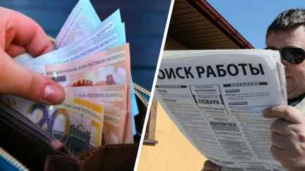 Ветеринар, электрик, водитель и не только. Нашли сотню вакансий с зарплатой в 2 раза выше средней по Беларуси