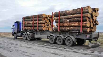 Минтранс Беларуси разрешил лесовозам ездить по республиканским дорогам в жару