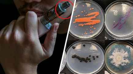 Ученые обнаружили в мундштуках вейпов «обильные колонии» грибков